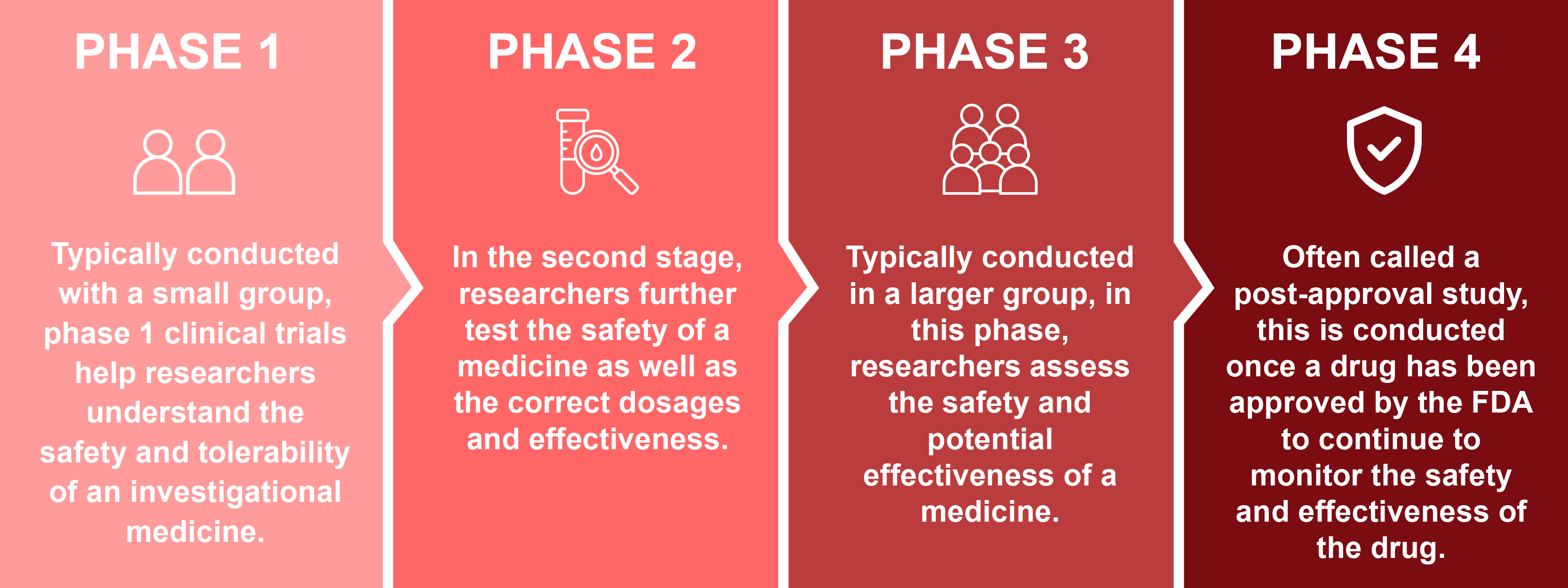 Clinical Trial Steps